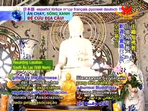 Vietnamese Buddhist Temples