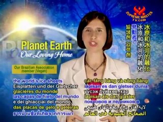 Earth’s Disappearing Lungs:The Endangered Amazon Rainfores