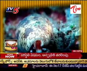 Daily mirror - parat 1