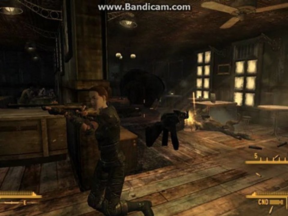 fallout new vegas mods