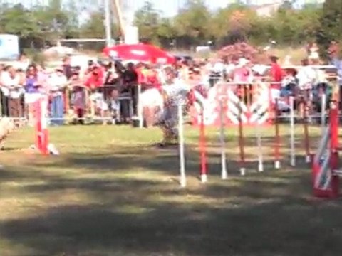 WILLIAM 3 EME MANCHE GPF