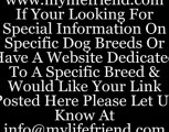 Animal rescue services; adoption agencies and animal groups (dogs and cats)