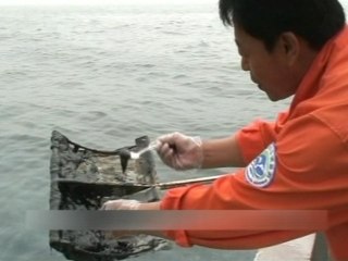 Bohai Sea Oil Leak Causes Long-Term Environmental Impact