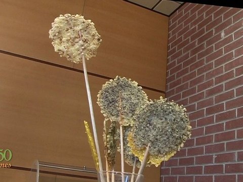 Sucettes au fromage - 750 Grammes