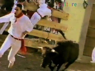 Pamplona 2011 bull run: survivor stories