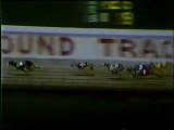 World Classic1985: Hollywood Florida Greyhound Track