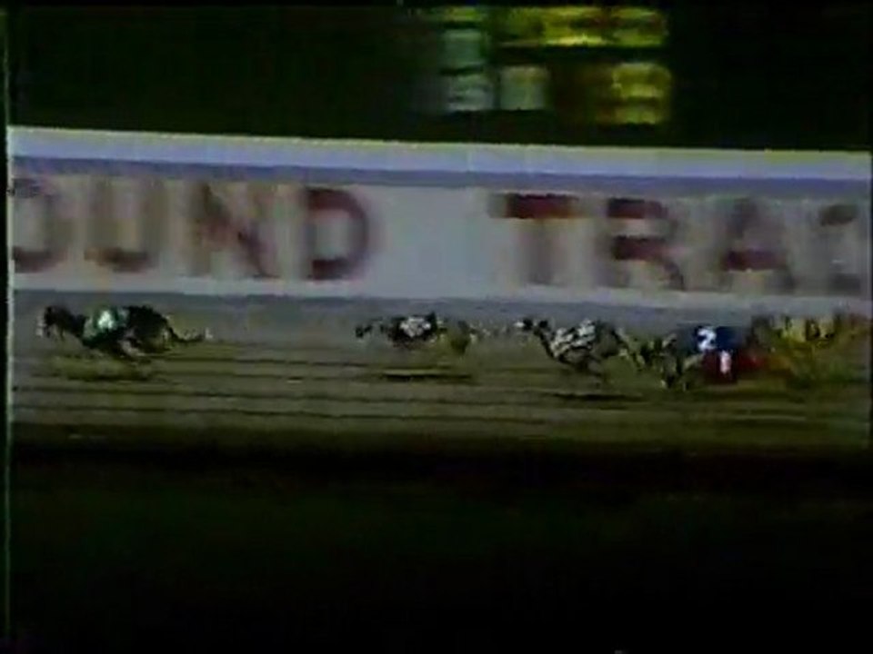 World Classic1985: Hollywood Florida Greyhound Track