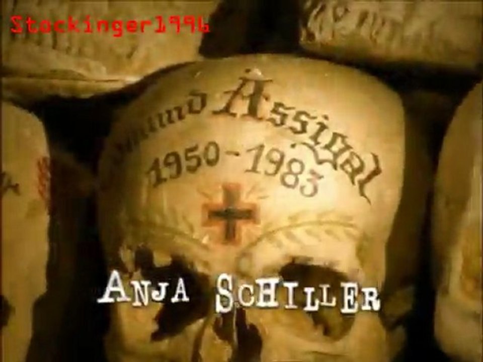 Stockinger Intro HQ
