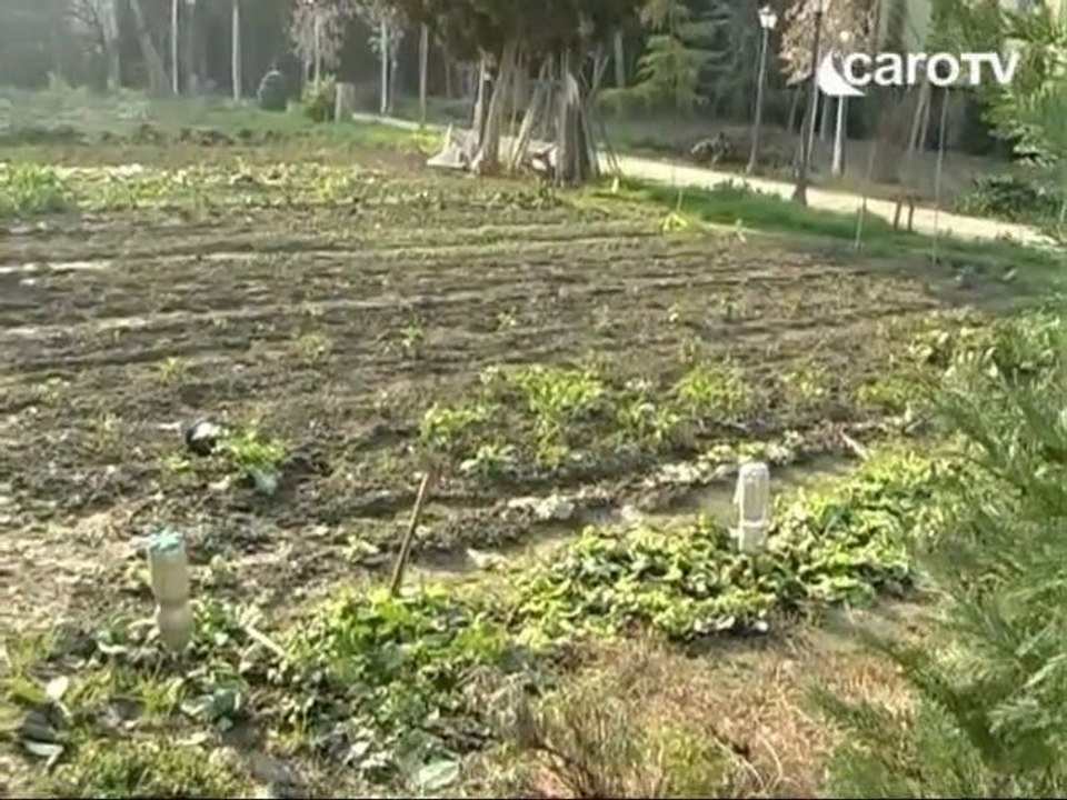 IcaroTv. La mensa di Santo Spirito compie 10 anni