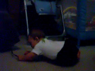 essaie quatre pattes 3