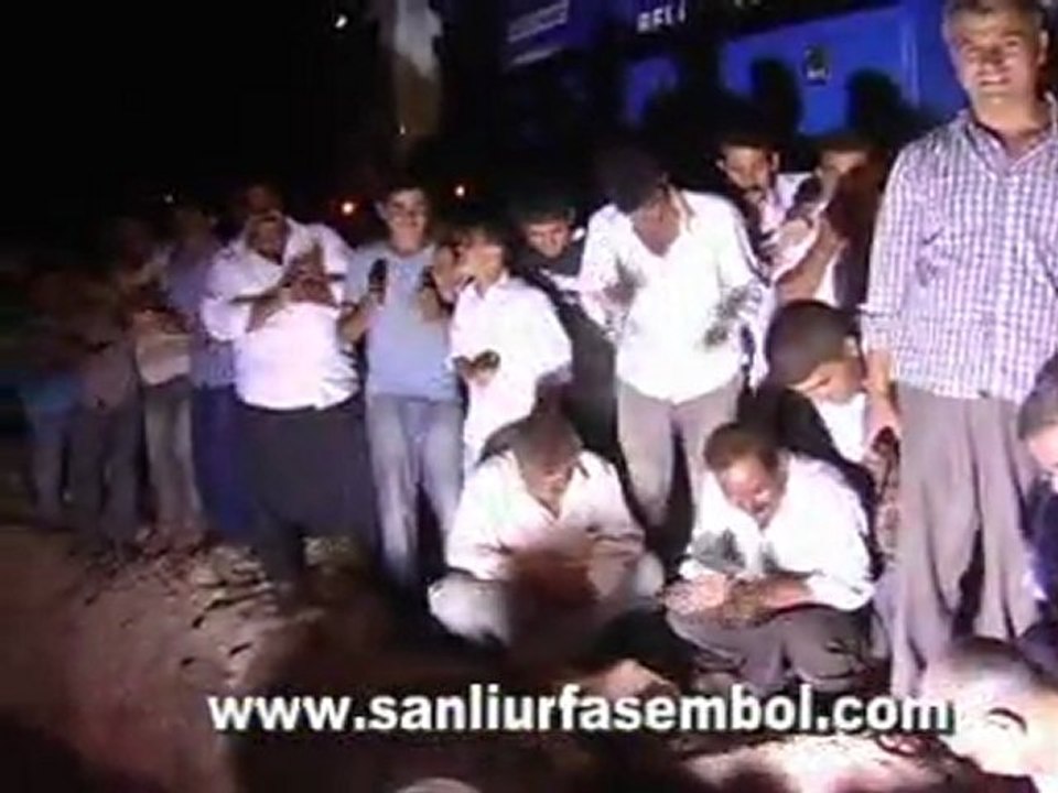 Köpek Kurtarma Operasyonu
