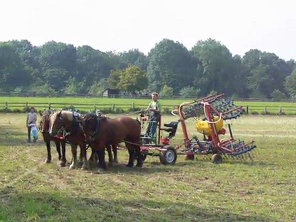 Hersage avec un porte-outils hippomobile Hisko à Detmold en 2007