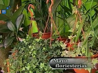 Floristeria Mayo EMPRENDEDORES 24 06 2011