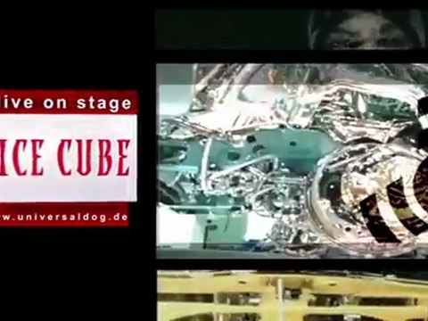 PARTYKINGZ ICE CUBE LIVE ON STAGE Saturday, 090711 UNIVERSAL DOG LAHR