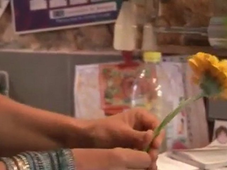 Chemins de la réussite : Mobil Home