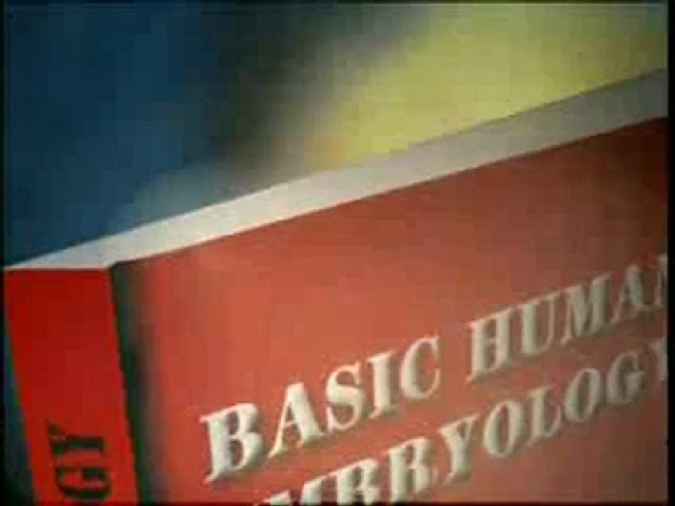 Kuran mucizeleri: Bebeğin rahimdeki üç karanlık evresi