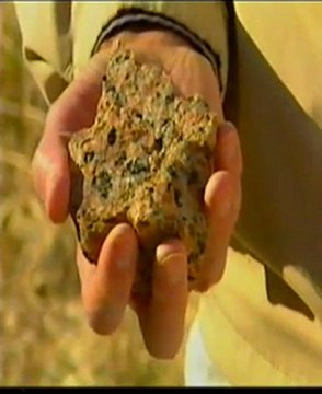 IMPRESSÕES DIGITAIS DA CRIAÇÃO - PARTE 1