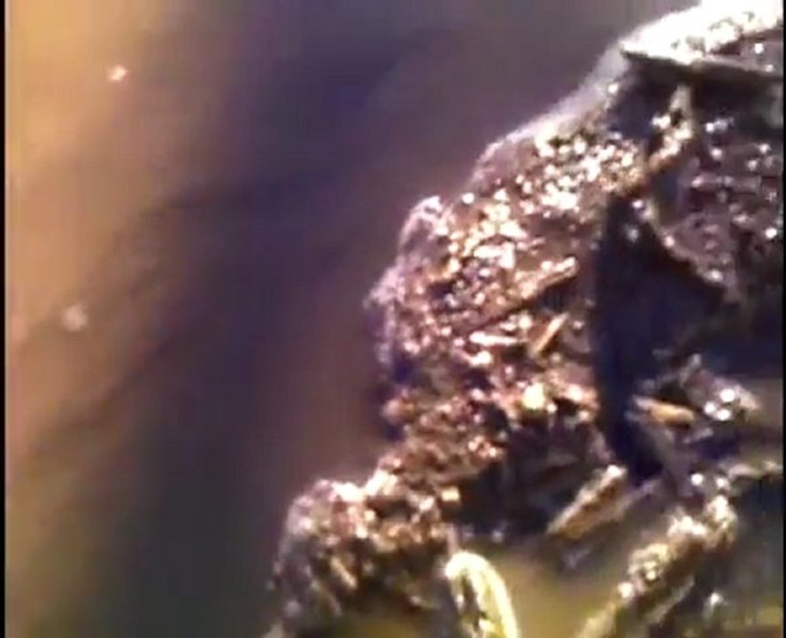 T.A.R._the spiders are coming_ eerie vocals,creepy lyrics,sinister guitar riffs,roaring,spacey metal