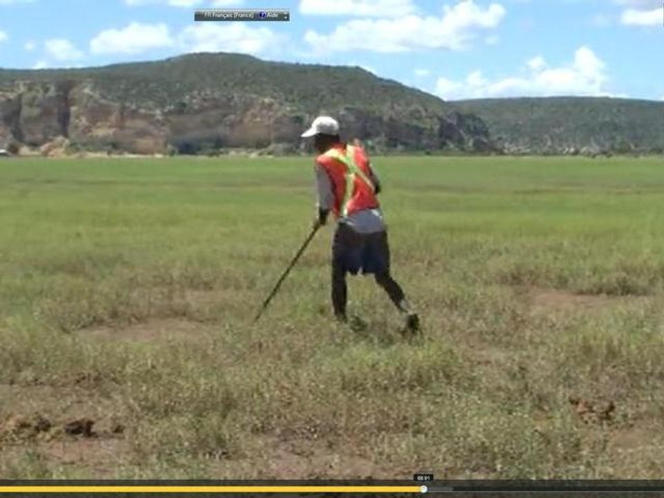 Reconstitution d'une mangove à Saint Augustin (Sud-ouest Madagascar) en 2010 et 2011