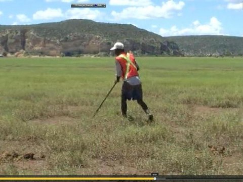 Reconstitution d'une mangove à Saint Augustin (Sud-ouest Madagascar) en 2010 et 2011