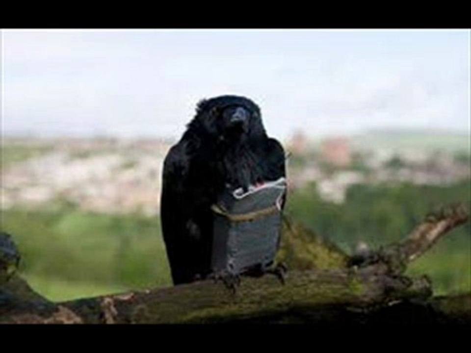 Four Lions Movie Trailers HD