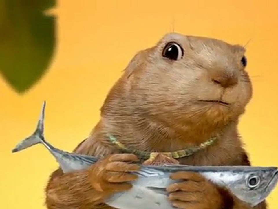 Nutzz