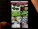 Thai Food Guide iPhone App Demo - DailyAppShow