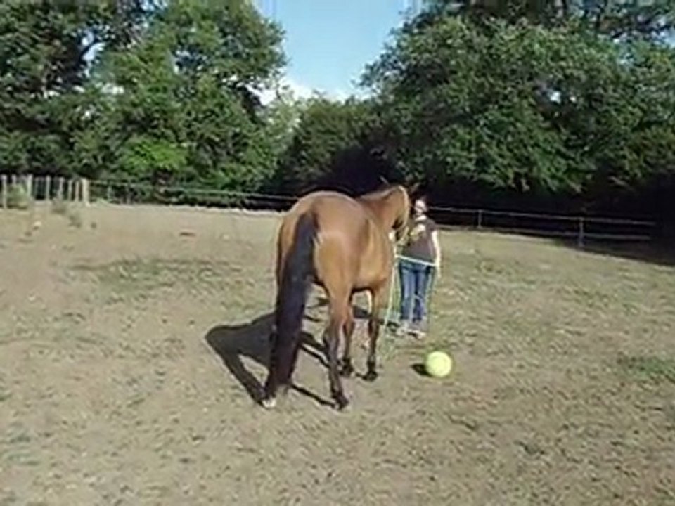 Online improvisé au pré