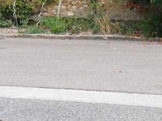 Riders Match Été 2010 : Batbest - Baptiste Timbert