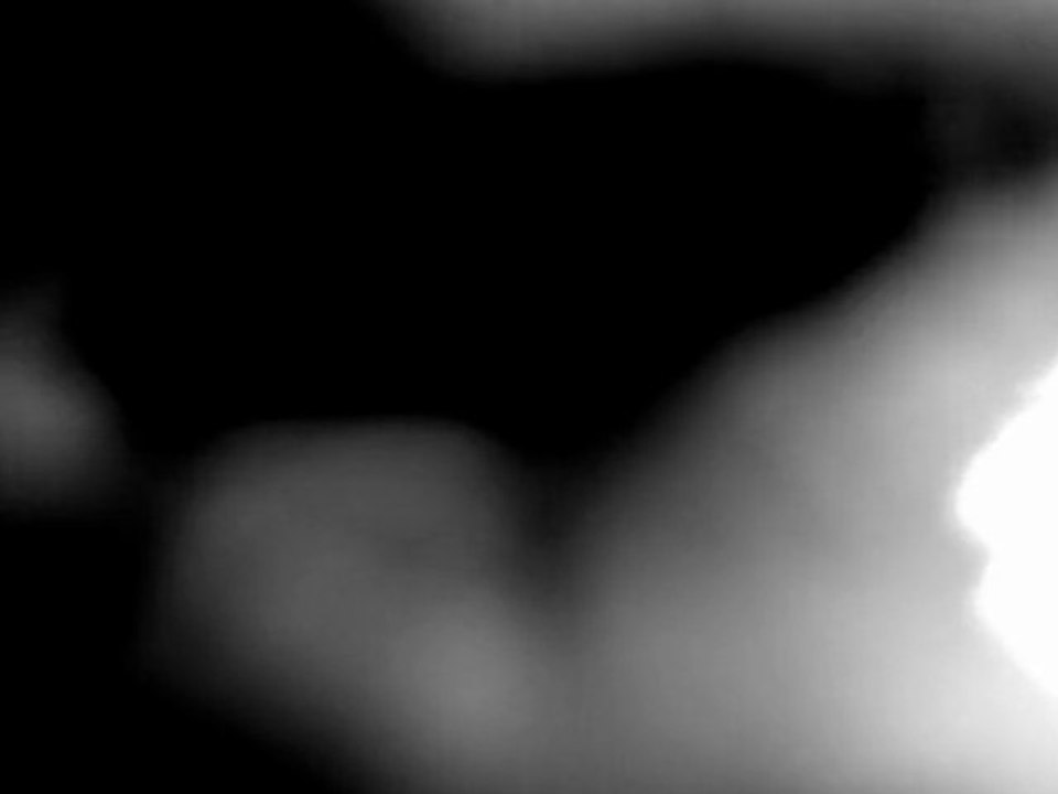 Mécaniques Erotiques