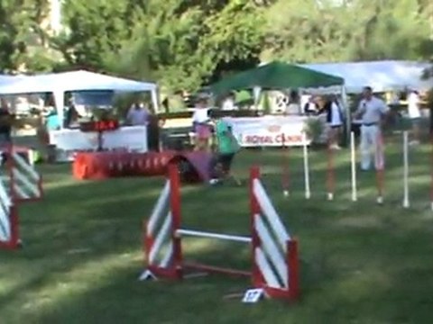 Baïla 2è parcours Eyragues 201