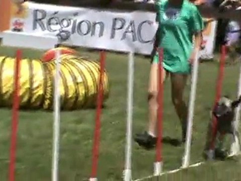 Baïla 3è parcours Eyragues 201