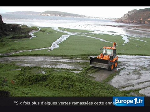 Les écolos et les algues vertes