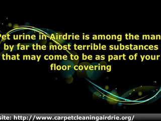 Pet Stain Removal Airdrie_Carpet Cleaning