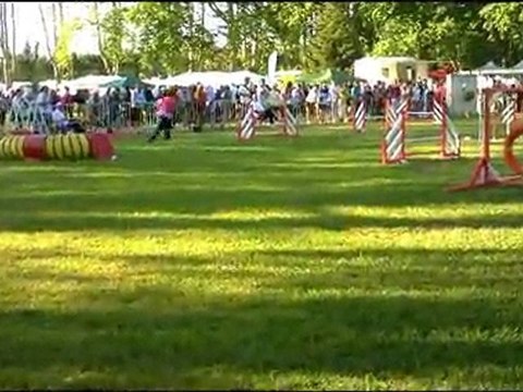 finale gpf eyragues 2 et 3 juillet 2011 charlène et celtic