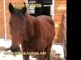 Horse Jumps - Horse Dressage Arenas