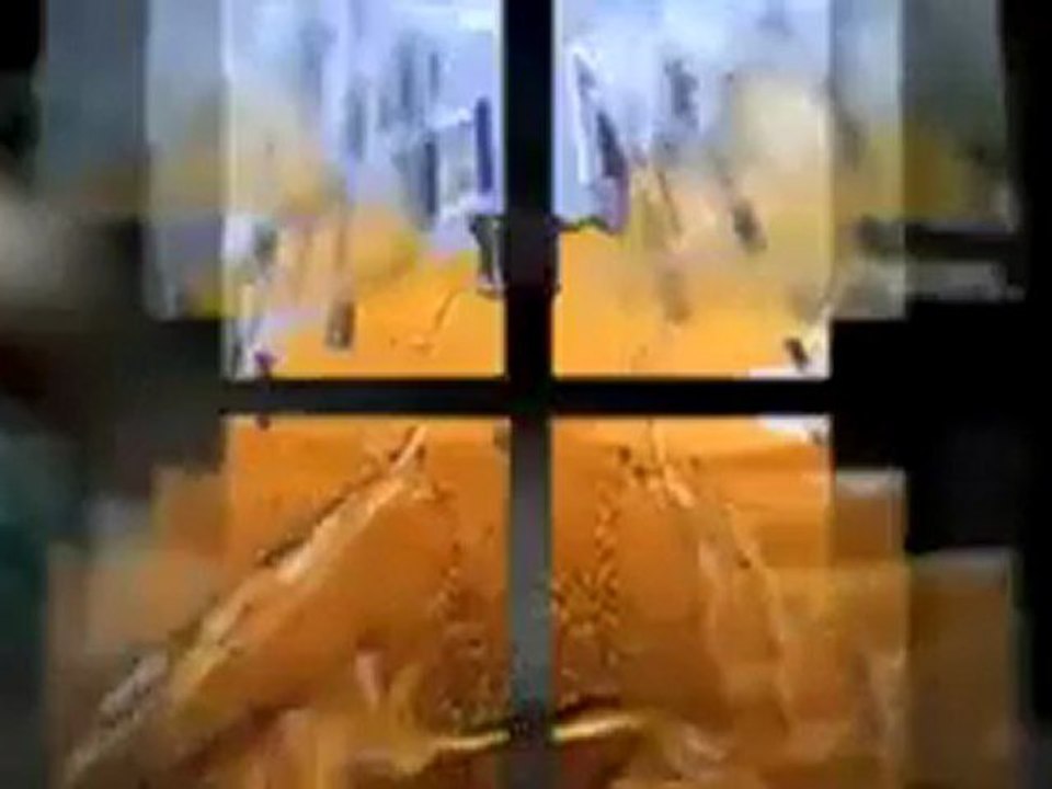 Get rid of Termites - Save your Home from Termites