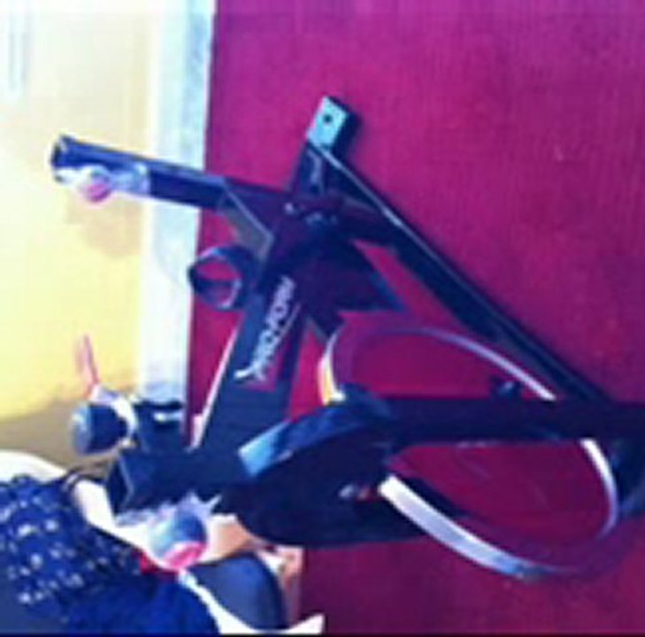 Constructional view of Proform 290 spx cycle