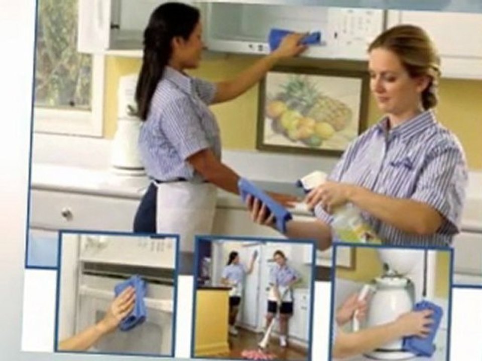 Philadelphia Mold Inspection- The Key to Your Concerns