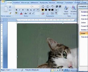 astuce word image