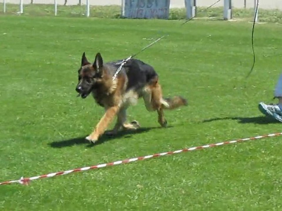 Eddy juin 2011 ... entraînement entre copains.