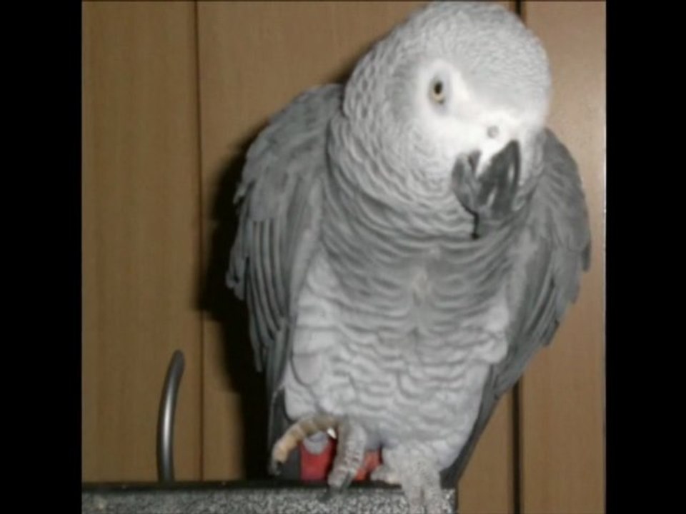 ♥ Unser Jaccolein ♥  :-)))