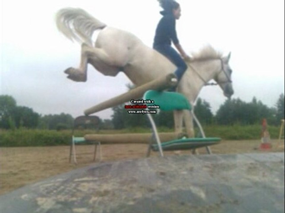 Mon PetitCheval en saut