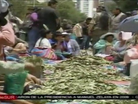 Bolivia sigue defendiendo a la hoja de coca