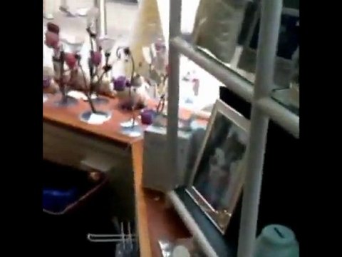 Swarm of bees traps chocolate shop workers inside store