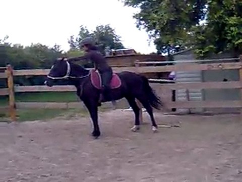 kiki en licol sans selle suite