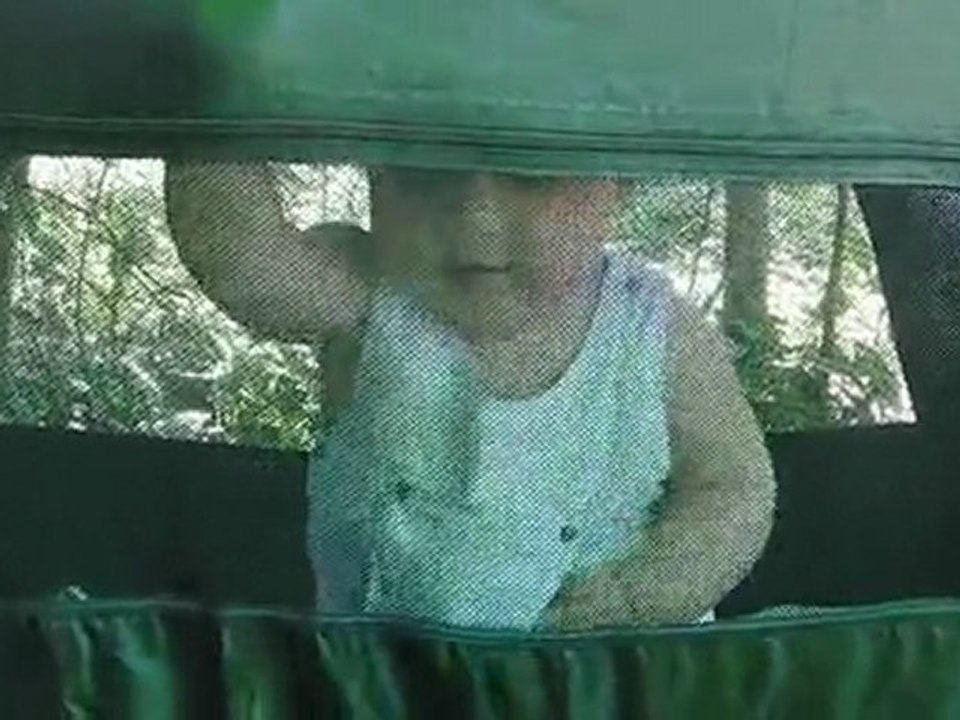En cage