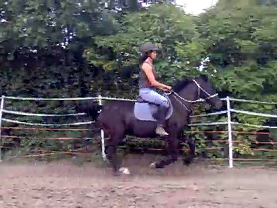 kiki en licol