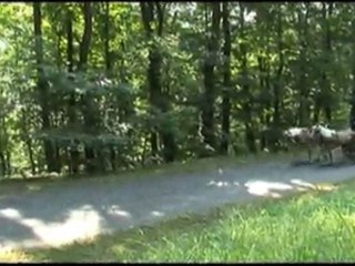 Miroslav a Kateřina