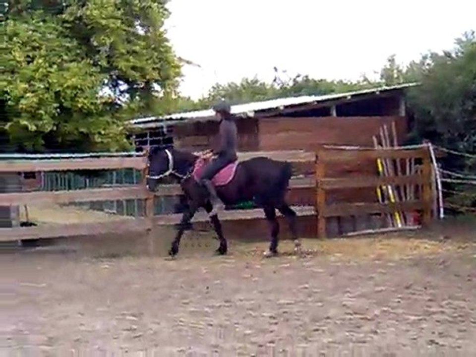 sans selle et sans filet